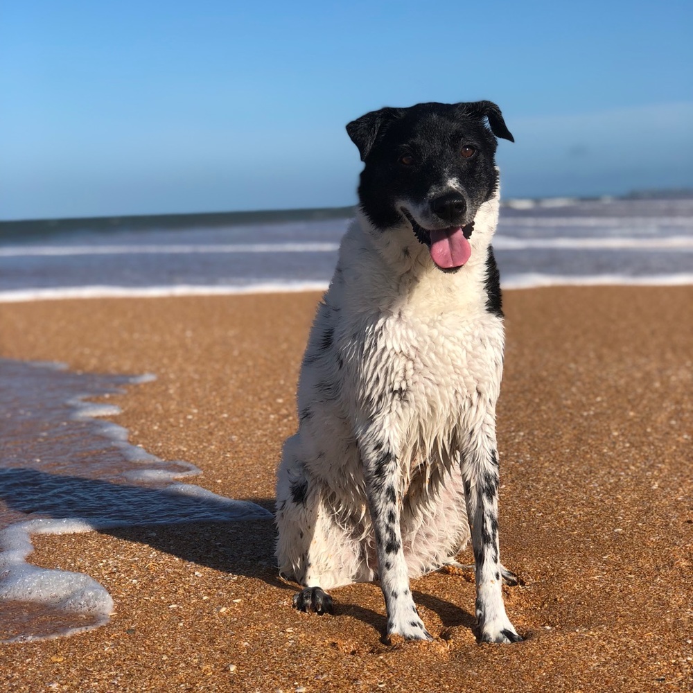 Meet your Posher, Tehane